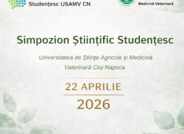 651659894_908564038472312_1574117635156617229_n