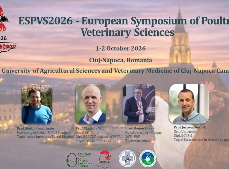 653700592_931147836333308_6608168478047276018_n