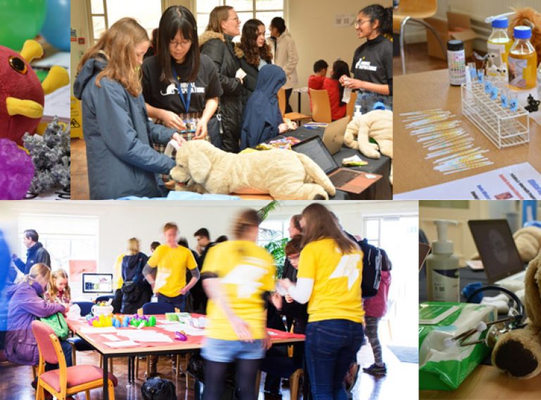 cambridge_festival_website_image