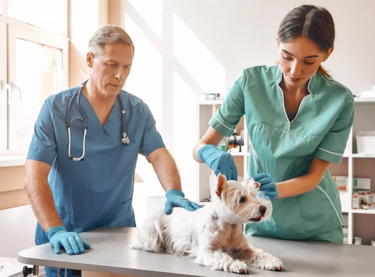 ed7014904acc367c51eb56262b391881fa53b418f0c3eb481350362fd036c366 ed7014904acc367c51eb56262b391881fa53b418f0c3eb481350362fd036c366