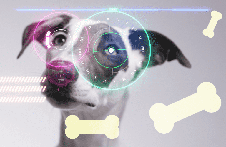 how_technology_is_improving_the_standard_of_care_1140x500_1.png__800x500_crop_subject_location-570,252_subsampling-2 how_technology_is_improving_the_standard_of_care_1140x500_1.png__800x500_crop_subject_location-570,252_subsampling-2