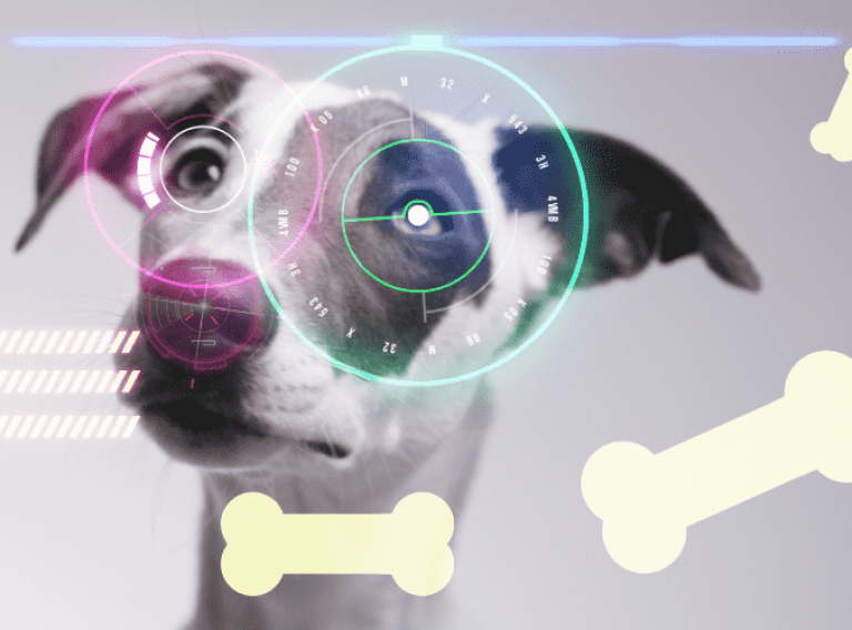 how_technology_is_improving_the_standard_of_care_1140x500_1.png__800x500_crop_subject_location-570,252_subsampling-2 how_technology_is_improving_the_standard_of_care_1140x500_1.png__800x500_crop_subject_location-570,252_subsampling-2