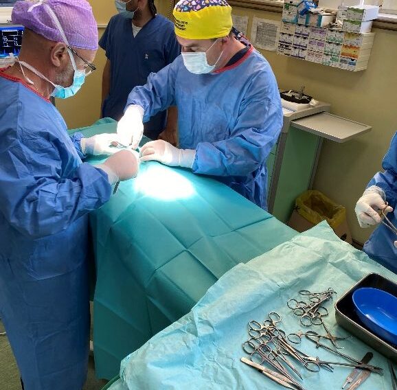 operatie-usamv operatie-usamv