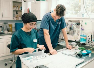 why become a vet